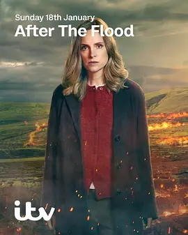洪水之后 第二季(全集)