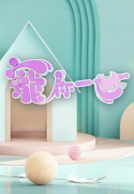宠你一世粤语