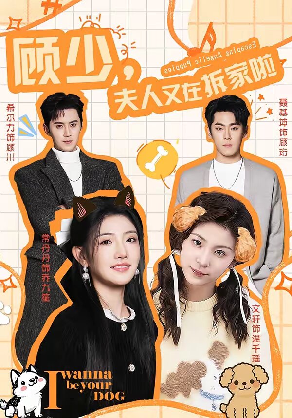 顾少，夫人又在拆家啦(全集)